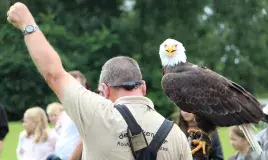 Meerwijck activiteis