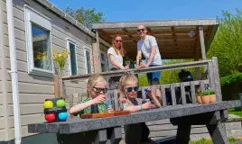 In de Bongerd