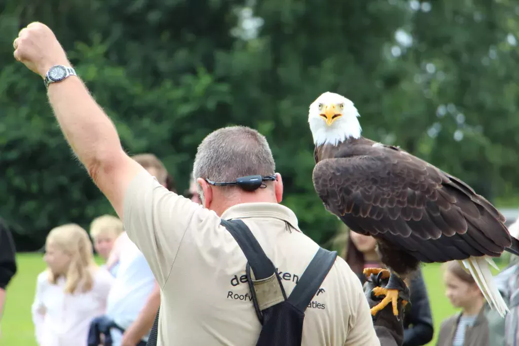 Meerwijck activiteis