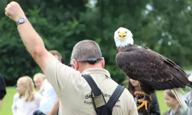 Meerwijck activiteis